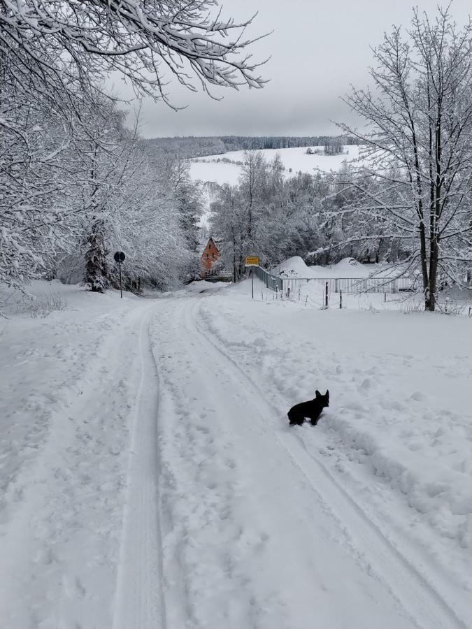 Ferienwohnung Bimmelbahn-Blick Neudorf  Eksteriør billede
